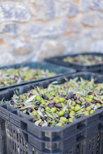 Load image into Gallery viewer, Olive Oil from the Sea 250ml