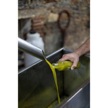 Load image into Gallery viewer, Olive Oil from the Sea 250ml
